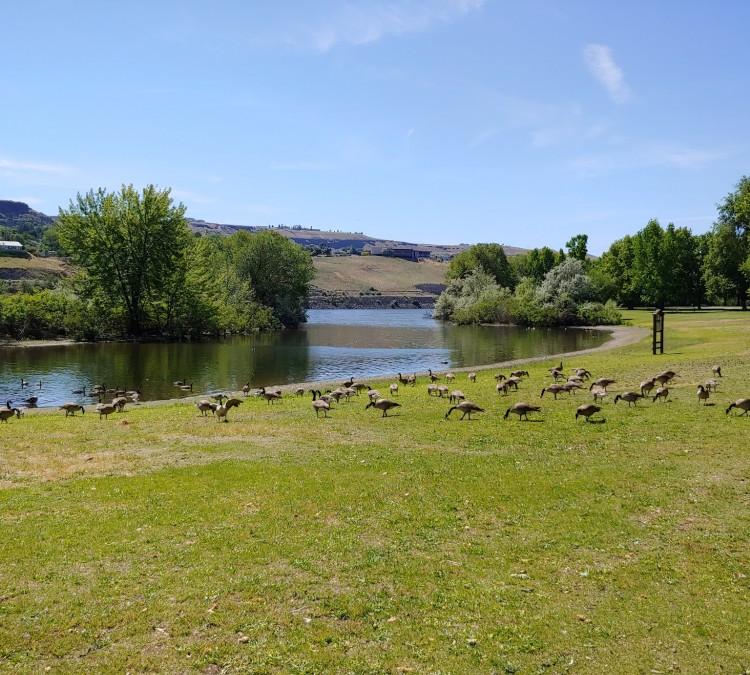 Swallows Park (Clarkston,&nbspWA)